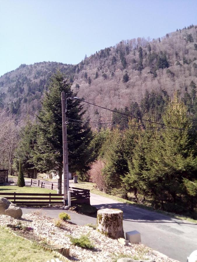 Villa L Annexe Mittlach Exterior foto